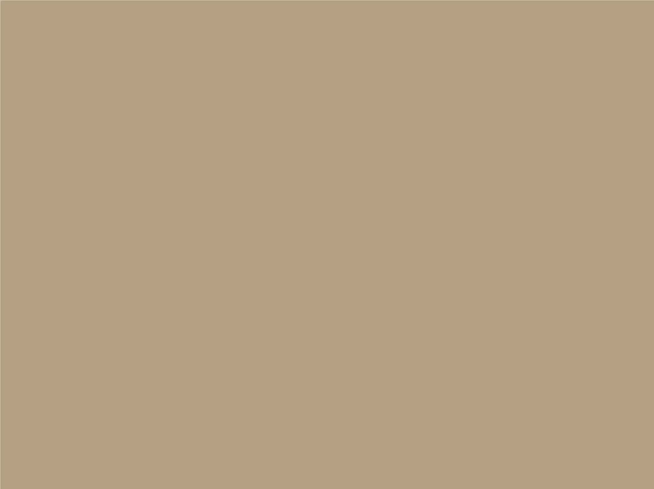 Layout Play Digital Plain Card Beige (MWLA0199)